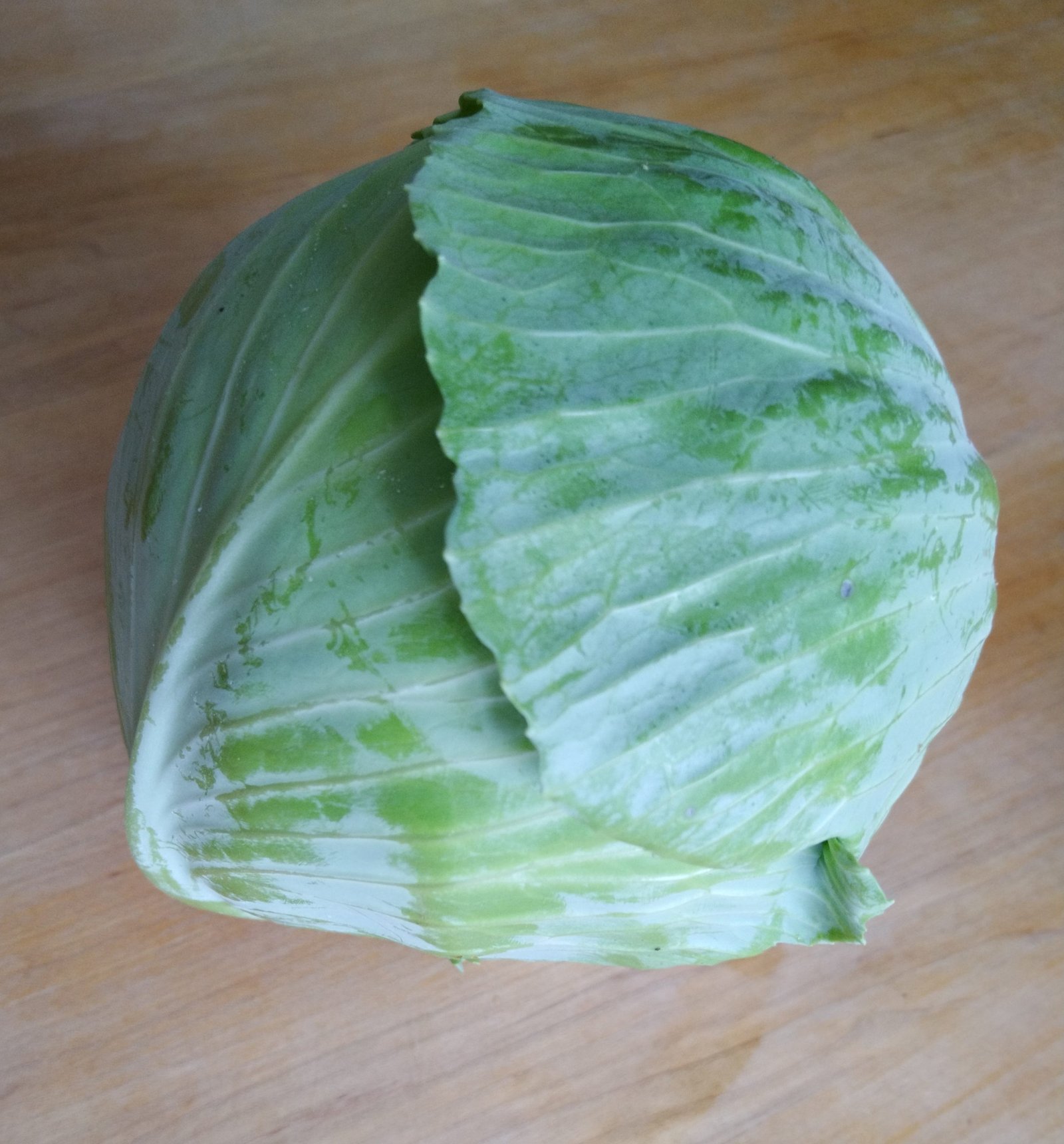 CHOU LISSE BLANC - environ 1,3 kg - 2,90 €/kg -